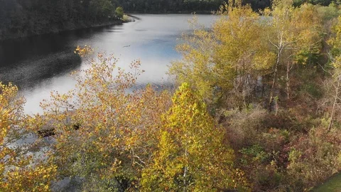 Kentucky Mountain River Stock-Footage 96186792