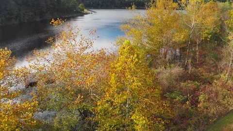 Kentucky Mountain River Stock Footage 96190854