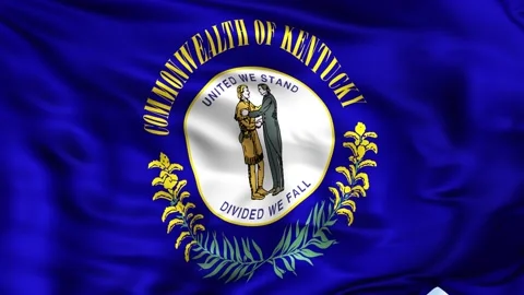 Kentucky State Waving Flag Background Stock Footage 204138674