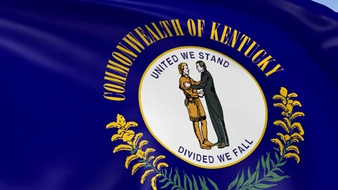 Kentucky State Waving Flag Background Loop Stock Footage 317846388