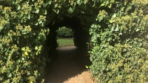 KENWOOD HOUSE Video stock 135568533