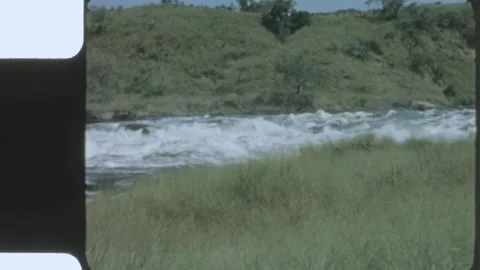 Kenya 1970s, View of waterfall surrounded by grasslands and trees Видео 313782436