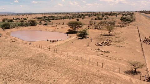 Kenya, Africa Stock Footage 122016612