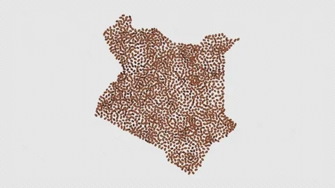 Kenya Coffee Beans Stock Footage 152668367