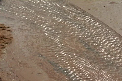 Kenya collecting water 01 Stock Footage 491353