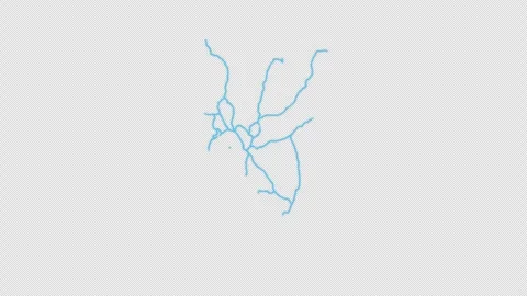 Kenya Country Line Map Self Drawing Animated Overlay, Alpha 4K Видео 340290686