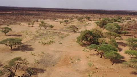 KENYA - DRY RIVER IN A DESERT Vidéo 202899968