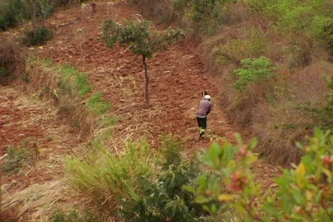 Kenya farm 01 Stock Footage 491359
