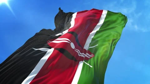 Kenya Flag Low Angle View Stock Footage 295696100