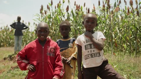 Kenya, Kitale - September 9, 2023: Group portrait of laughing african boys on 库存影片 265952736