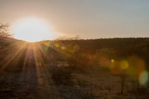 Kenya Landscape Foto stock
