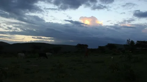 Kenya sunset wide Vídeos de archivo 55305639