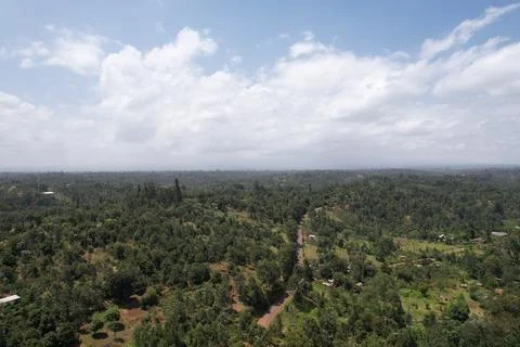 Kenyan forest Stock Photos