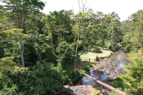 Kenyan forest Stock Photos