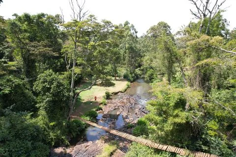 Kenyan forest Stock Photos