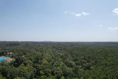 Kenyan forest Stock Photos