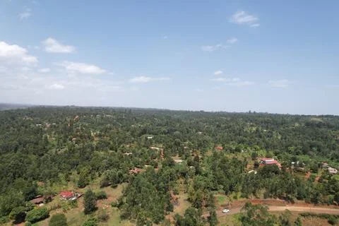 Kenyan forest Stock Photos