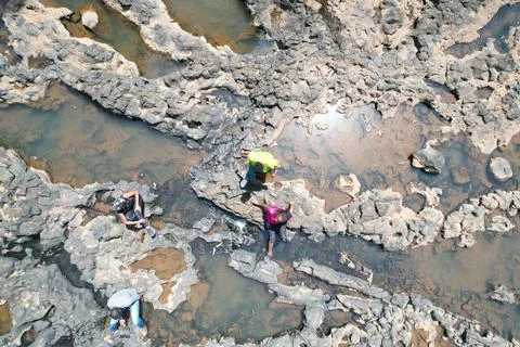 Kenyan forest Stock Photos