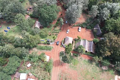 Kenyan forest Stock Photos