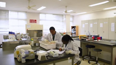 Kenyan scientists sort and file samples of blood and saliva that will be Stock Footage 126278294