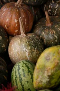 Kenyan Squash Foto stock