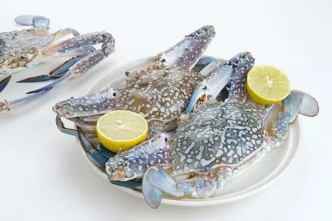 KEPITINGDSCF0463 Stock Photos