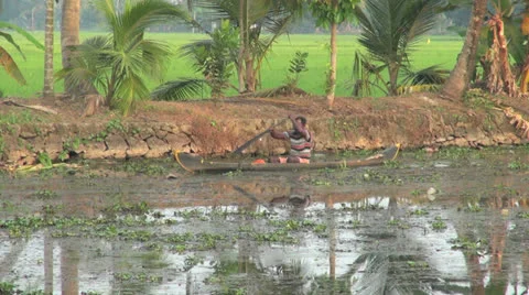 Kerala backwaters canoe approaches  Stock Footage 24274287