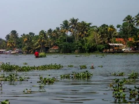 Kerala Backwaters Stock Photos