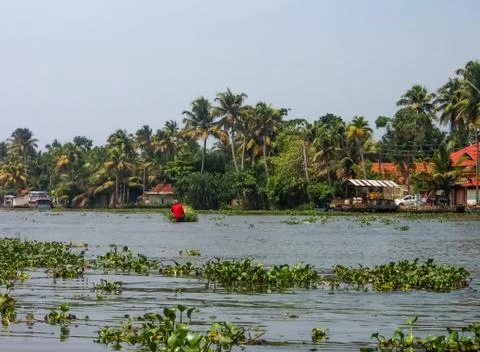 Kerala Backwaters 写真素材