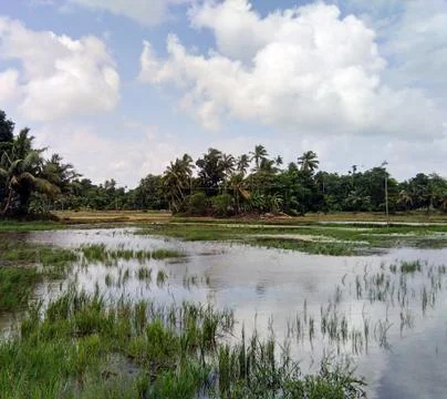 Kerala Backwaters Stock Photos