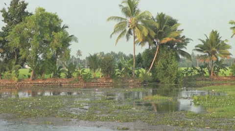 Kerala backwaters scene  Stock Footage 24274154