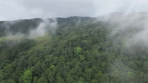 Kerala Drone Shots Stock Footage 314092960