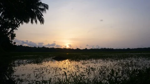 Kerala Evenings Stock Footage 112238915