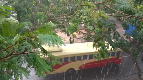 Kerala ksrtc bus passing in rain, top view through tree leaves, India Stock Footage 139665809