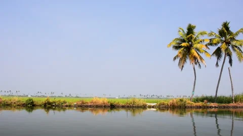 Keralan backwaters Stock Footage 47622237