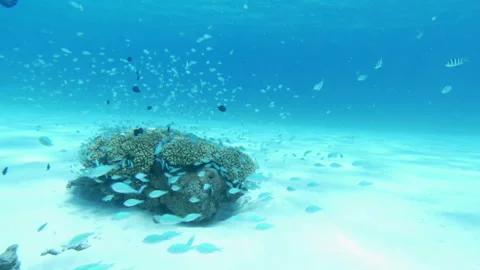 Kerama Islands 스톡 동영상 332776904