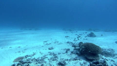 Kerama Islands Video stock 332777350