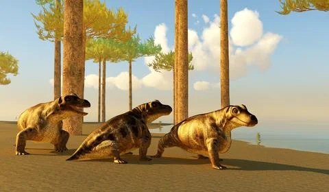 Keratocephalus by Lakeshore Stock Illustration