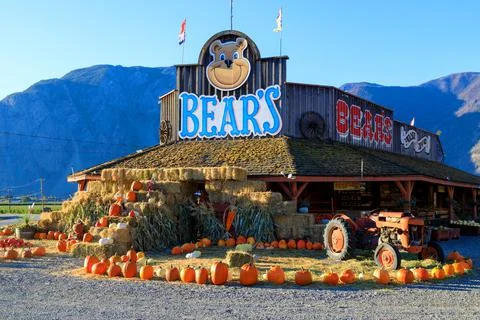 Keremeos Fruit Stand Pumpking Patch Farmers Market Stock Photos