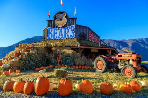 Keremeos Fruit Stand Pumpking Patch Farmers Market Stock Photos