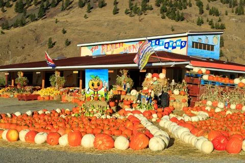 Keremeos Fruit Stand Pumpking Patch Farmers Market Fotos de archivo