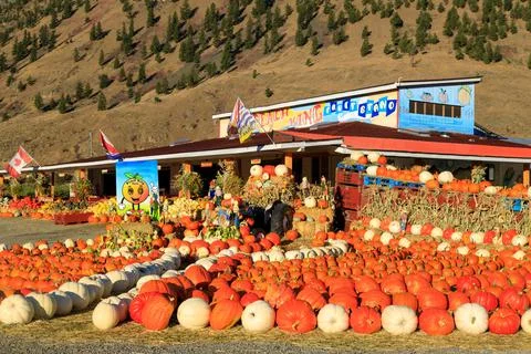 Keremeos Fruit Stand Pumpking Patch Farmers Market Fotos de archivo