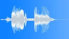 Kerguelen Fur Seal CUSound Effect