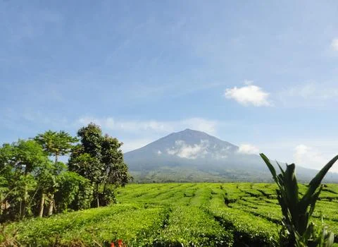 Kerinci Volcano Stock Photos