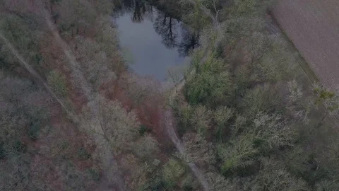 Kerkrade - winter forest Stock Footage 122826616