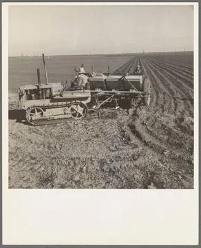 Kern County, California. Large-scale mechanized farming. The potato plante... Stock Photos