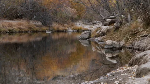 Kern river water close up fall colors, and blue sky. Peaceful Nature Stock Footage 146489931