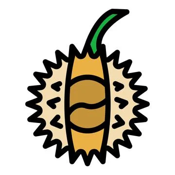Kernel chetnut icon color outline vector Stock Illustration