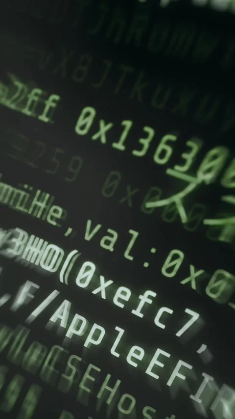 Kernel panic, verbose boot log Stock Footage 335872799