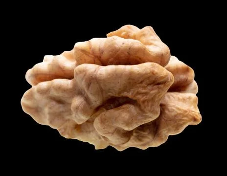 The kernel of a split walnut is isolated on a black Foto stock